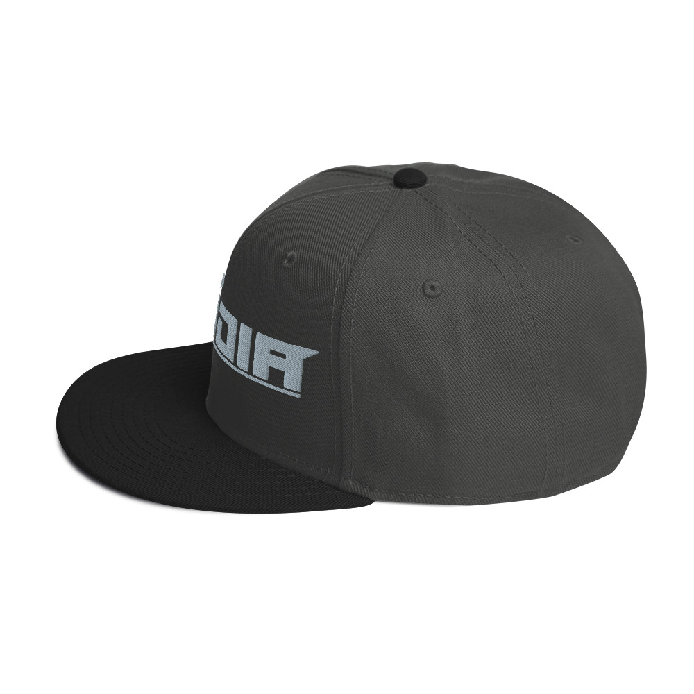 Snapback Hat - Image 43