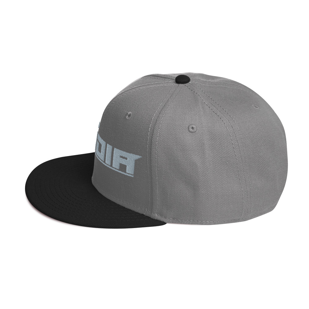 Snapback Hat - Image 51