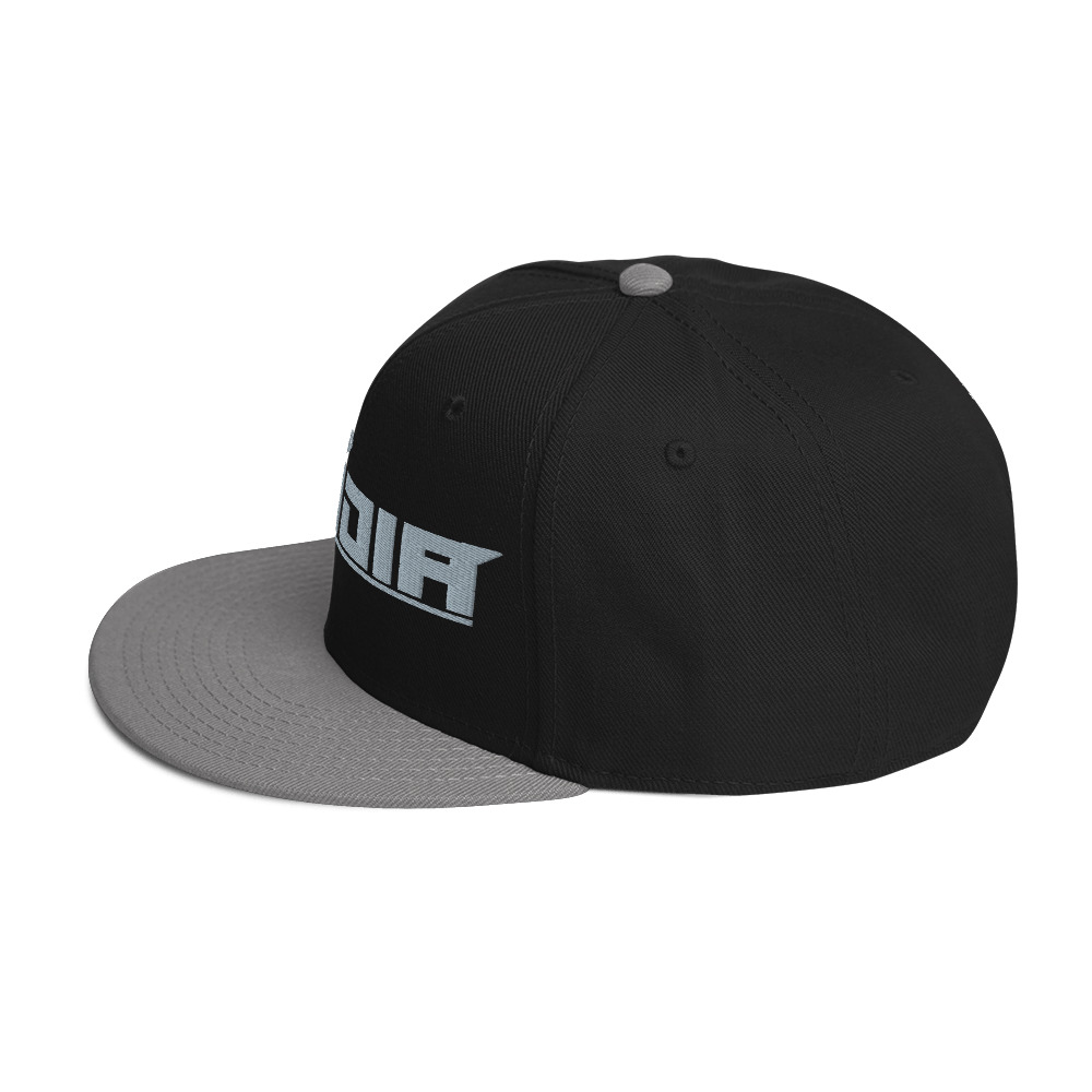 Snapback Hat - Image 19